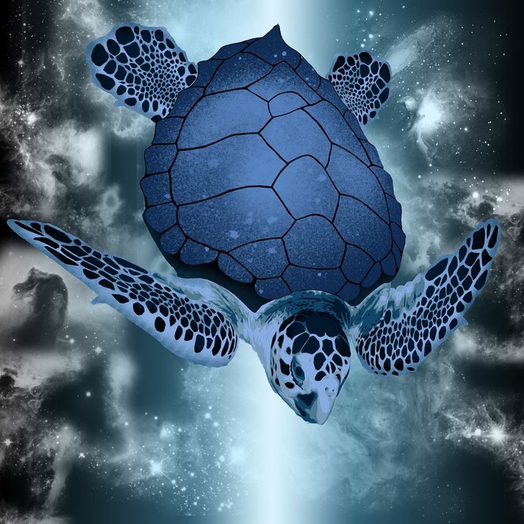 Photo:  Blue Sea Turtle